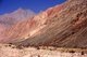 China: A horse on the Karakoram Highway in the Pamir Mountains, Xinjiang